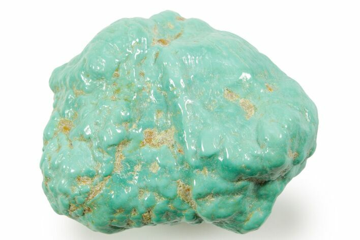 Polished Chilean Turquoise ( grams) Nugget #373192